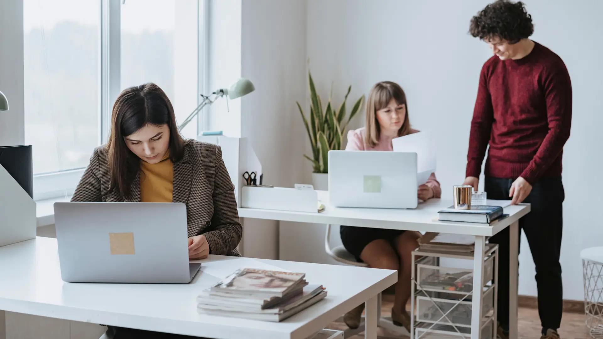 A team working on laptops in a bright office