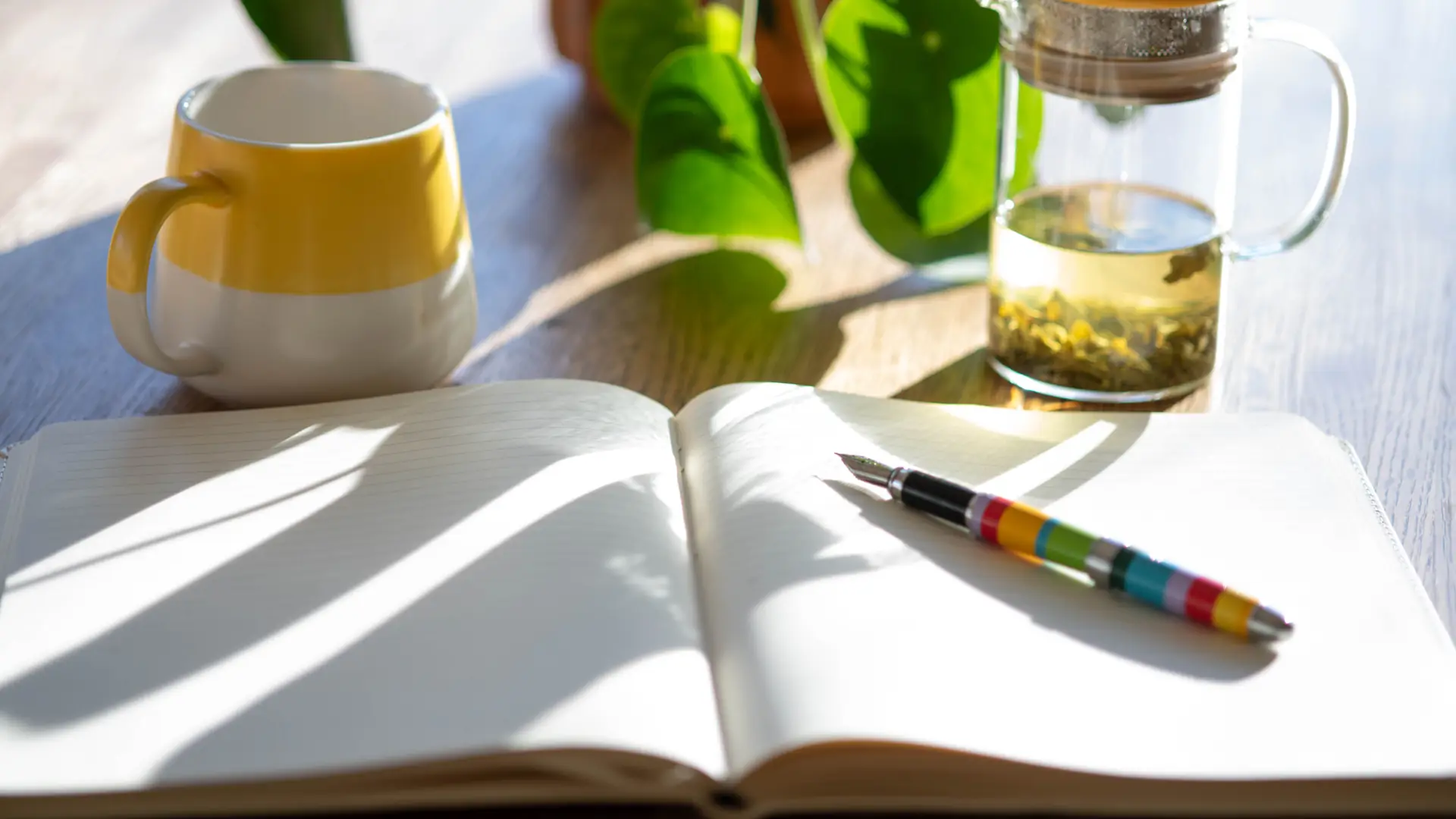 An open notebook, pen, mug and plant on a sunlit desk